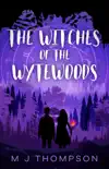 The Witches of the Wytewoods synopsis, comments