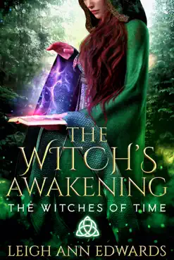 the witch's awakening book cover image