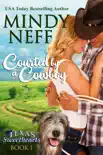 Courted by a Cowboy synopsis, comments