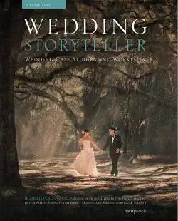 wedding storyteller, volume 2 book cover image