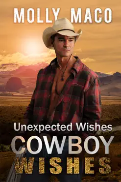 unexpected wishes book cover image