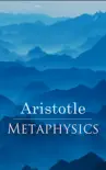 Metaphysics synopsis, comments
