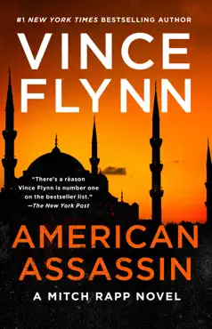 american assassin book cover image