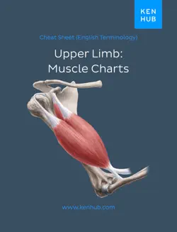 upper limb: muscle charts book cover image