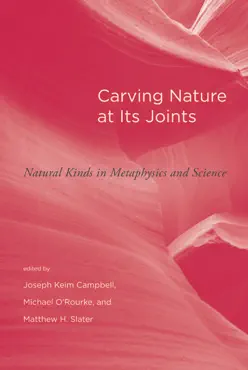 carving nature at its joints book cover image