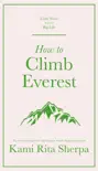 How to Climb Everest sinopsis y comentarios