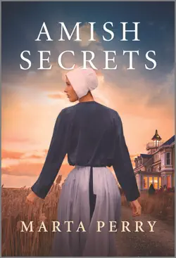 amish secrets book cover image