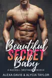 Beautiful Secret Baby synopsis, comments