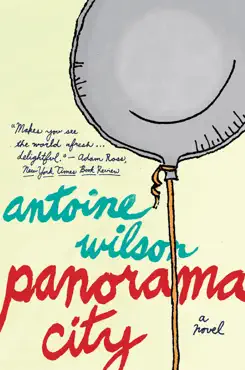 panorama city book cover image