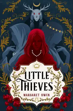 little thieves book cover image
