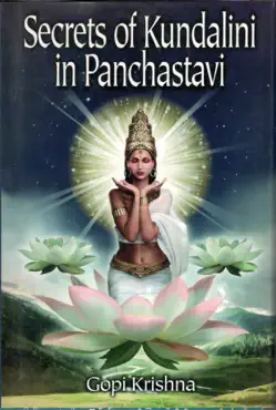 secrets of kundalini in panchastavi book cover image