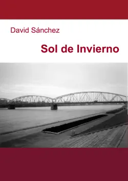 sol de invierno book cover image