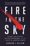 Fire in the Sky synopsis, comments