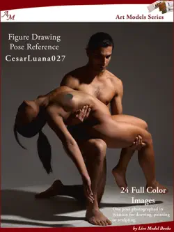 art models cesarluana027 book cover image