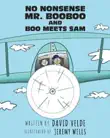 No Nonsense Mr. Booboo and Boo Meets Sam synopsis, comments
