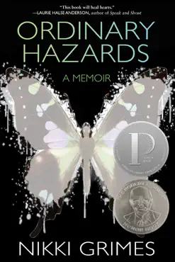 ordinary hazards book cover image