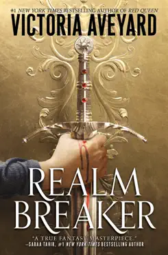 realm breaker book cover image