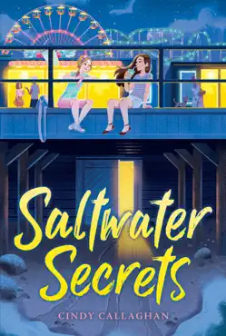 saltwater secrets book cover image