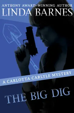 the big dig book cover image