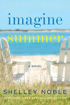 imagine summer book cover image