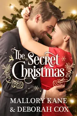 the secret christmas book cover image