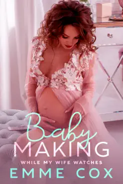 baby making while my wife watches book cover image