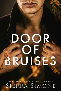 door of bruises book cover image