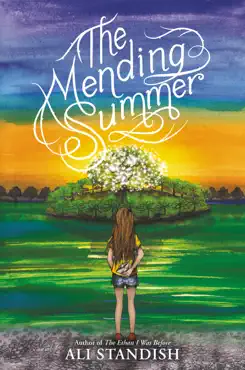 the mending summer book cover image