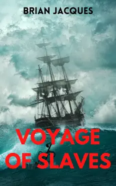 voyage of slaves book cover image