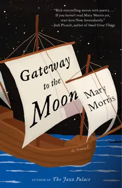 gateway to the moon book cover image