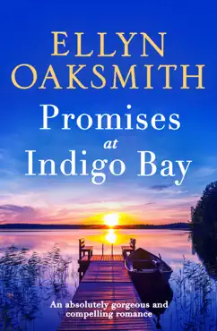 promises at indigo bay book cover image