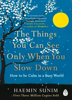 the things you can see only when you slow down imagen de la portada del libro