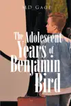The Adolescent Years of Benjamin Bird synopsis, comments