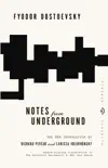 Notes from Underground synopsis, comments