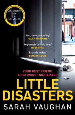 little disasters imagen de la portada del libro