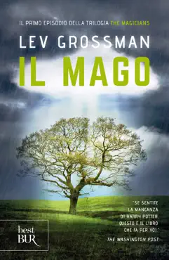 il mago book cover image