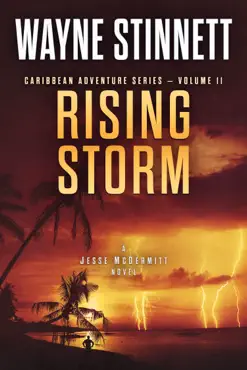 rising storm book cover image