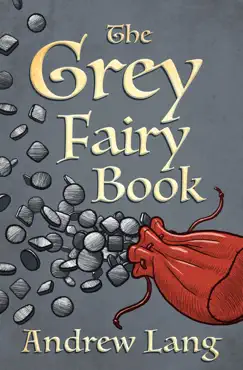 the grey fairy book book cover image