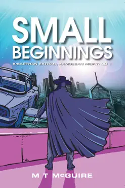 small beginnings book cover image