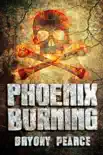Phoenix Burning synopsis, comments