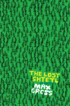 the lost shtetl book cover image