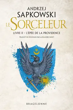 the witcher : l'Épée de la providence book cover image