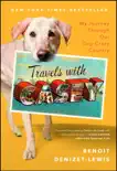 Travels With Casey synopsis, comments