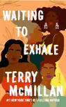 Waiting to Exhale synopsis, comments