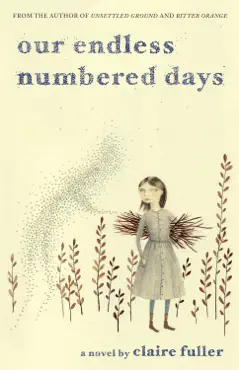 our endless numbered days: a novel book cover image