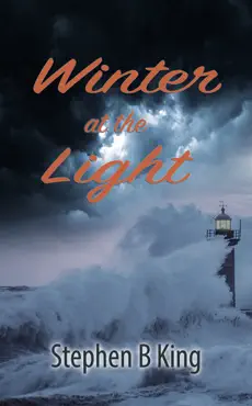 winter at the light book cover image