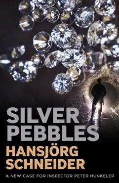 silver pebbles book cover image