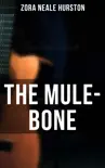 The Mule-Bone synopsis, comments
