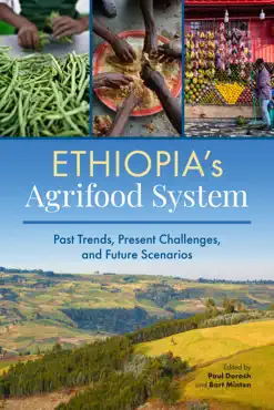 ethiopia's agrifood system book cover image