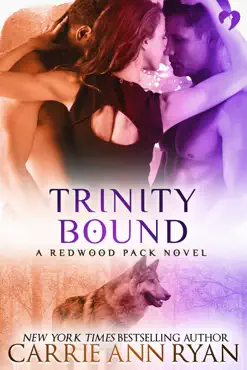 trinity bound book cover image